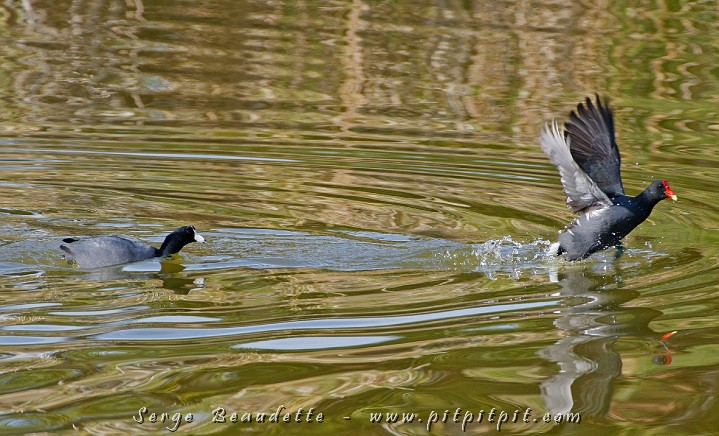 2009-01-04 13-50-20__MG_9756.JPG